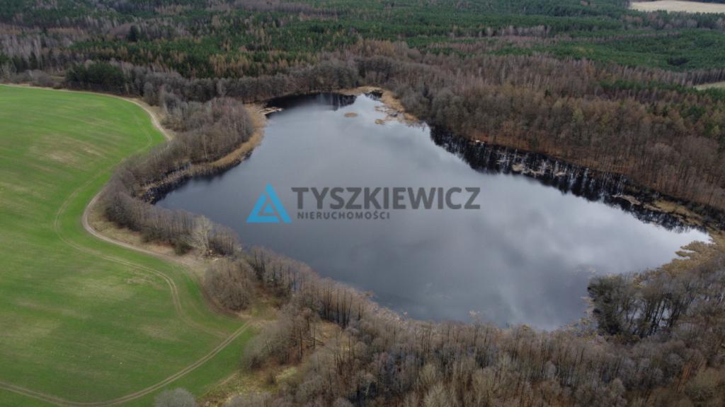 Działka rolna w sąsiedztwie lasu - zdjęcie 4