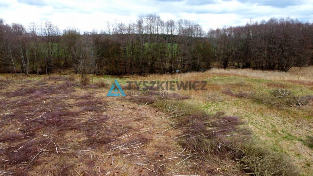 Działka rolna w sąsiedztwie lasu - zdjęcie 15