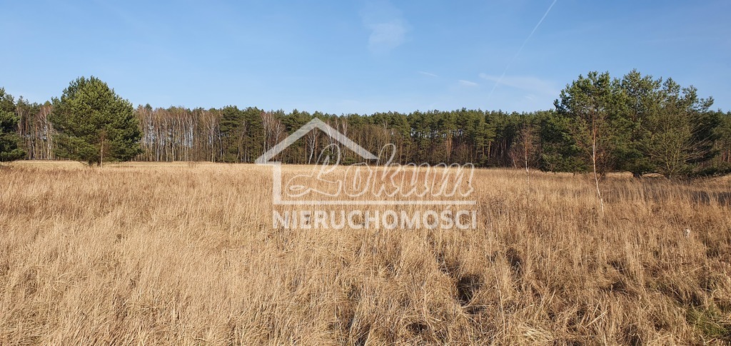 Działka budowlana 1137 m², Białuń - zdjęcie 3