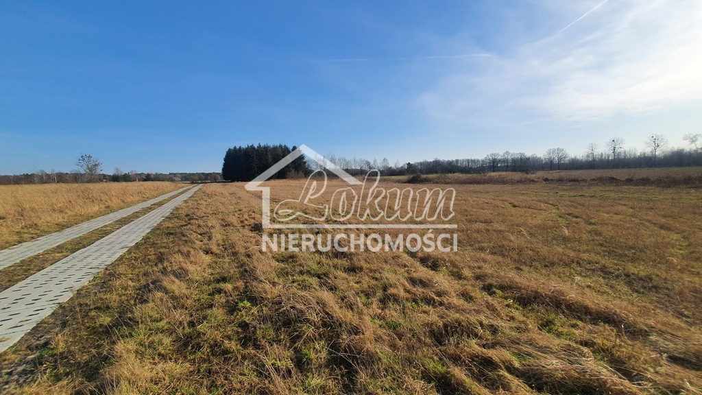 Działka budowlana 1137&nbsp;m², Białuń - zdjęcie 7