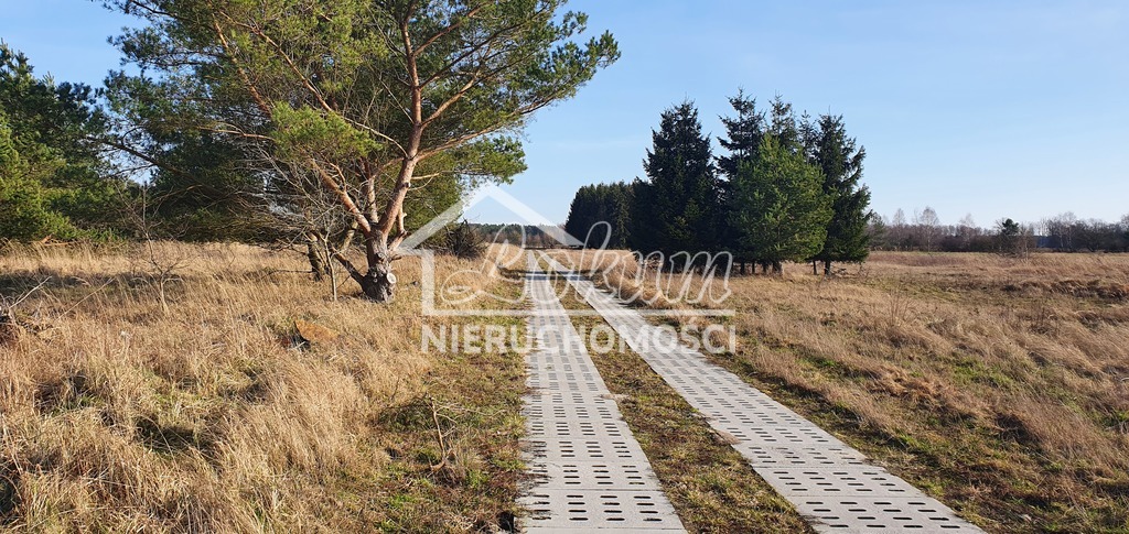 Działka budowlana 1137 m², Białuń - zdjęcie 4