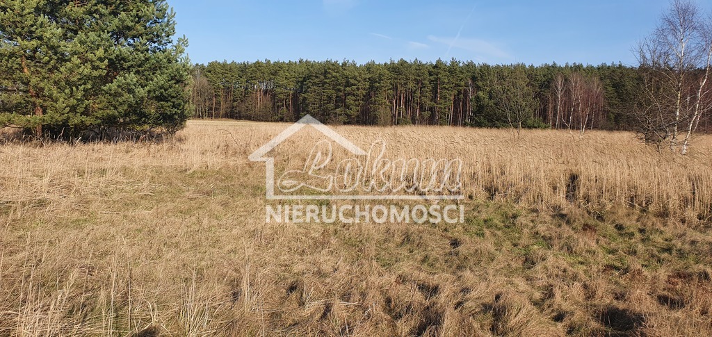 Działka budowlana 1137&nbsp;m², Białuń - zdjęcie 1