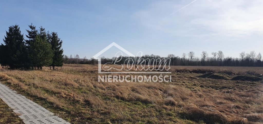 Działka budowlana 1137&nbsp;m², Białuń - zdjęcie 5