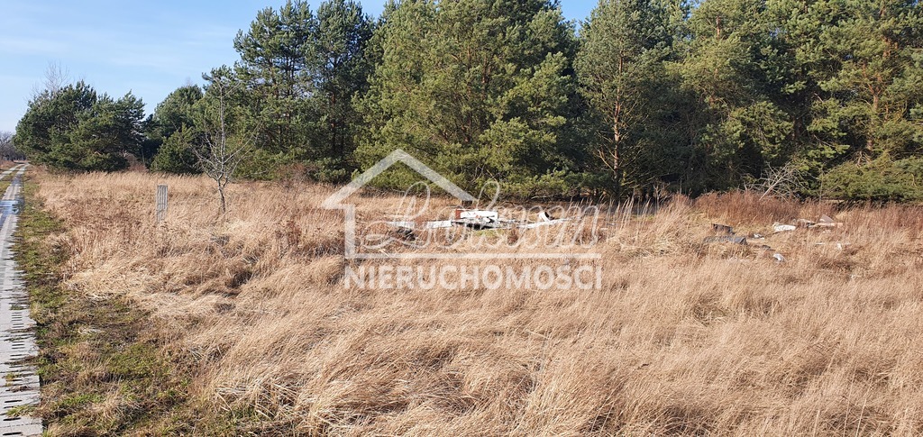 Działka budowlana 1137 m², Białuń - zdjęcie 6