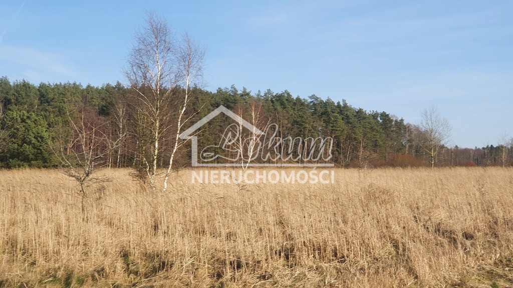 Działka budowlana 1137 m², Białuń - zdjęcie 8