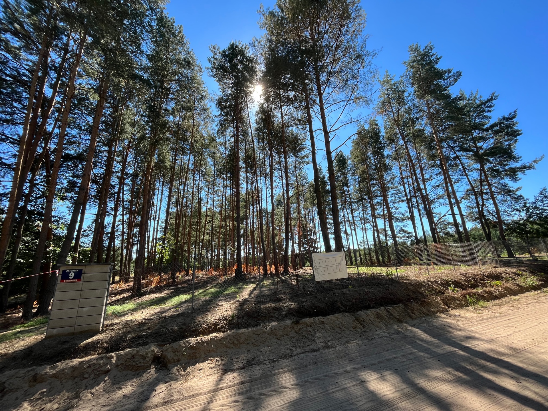 Stawinoga pułtuski ładna budowlana jedna działka lub kilka pod osiedle - zdjęcie 2