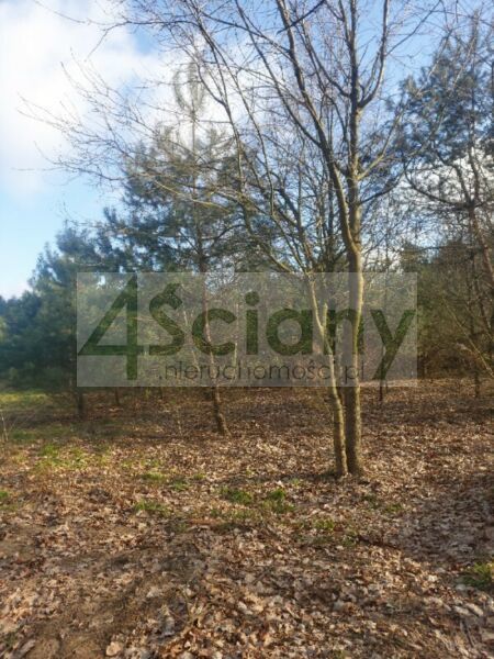 Działka budowlana 1697&nbsp;m², Ojrzanów - zdjęcie 2