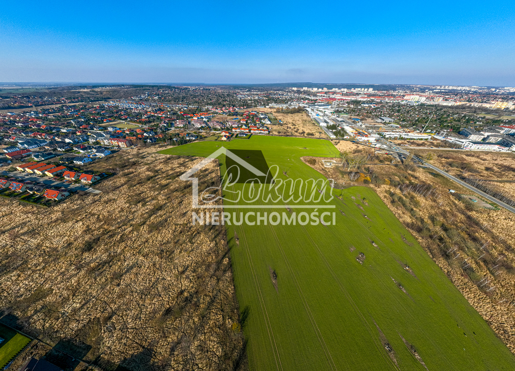 Działka budowlana 8046&nbsp;m², Mierzyn - zdjęcie 2