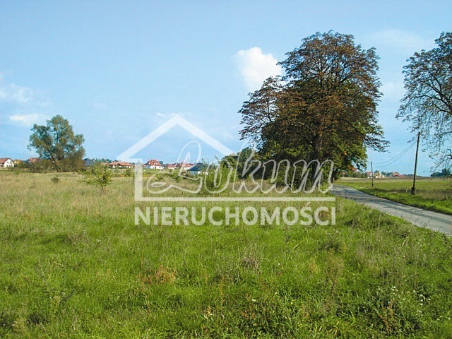 Działka rolna 3066 m², Kościno - zdjęcie 13
