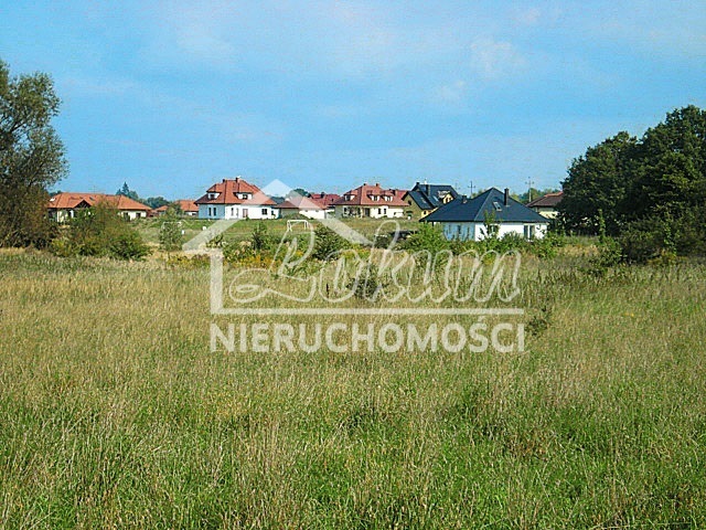 Działka rolna 3066 m², Kościno - zdjęcie 8
