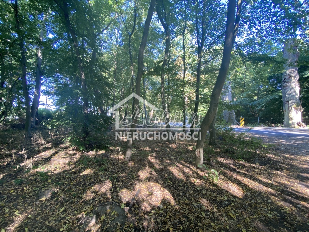 Działka rolna 3066 m², Kościno - zdjęcie 4