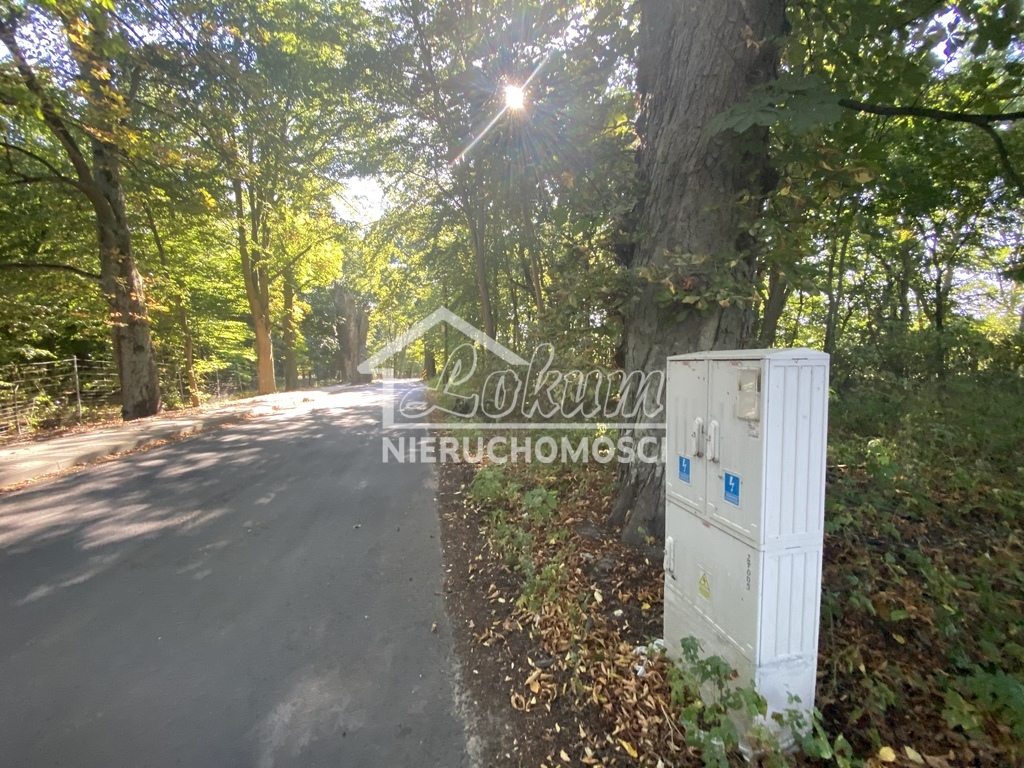 Działka rolna 3066 m², Kościno - zdjęcie 3