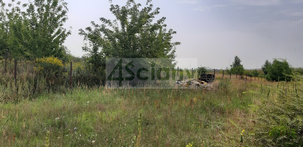 Działka inwestycyjna 7521&nbsp;m², Opacz-Kolonia - zdjęcie 1