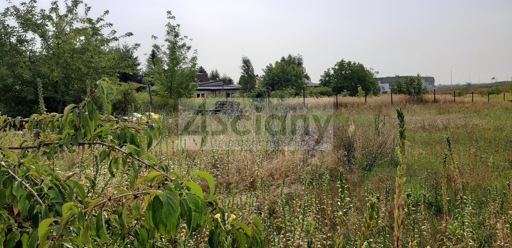 Działka inwestycyjna 7521&nbsp;m², Opacz-Kolonia - zdjęcie 2
