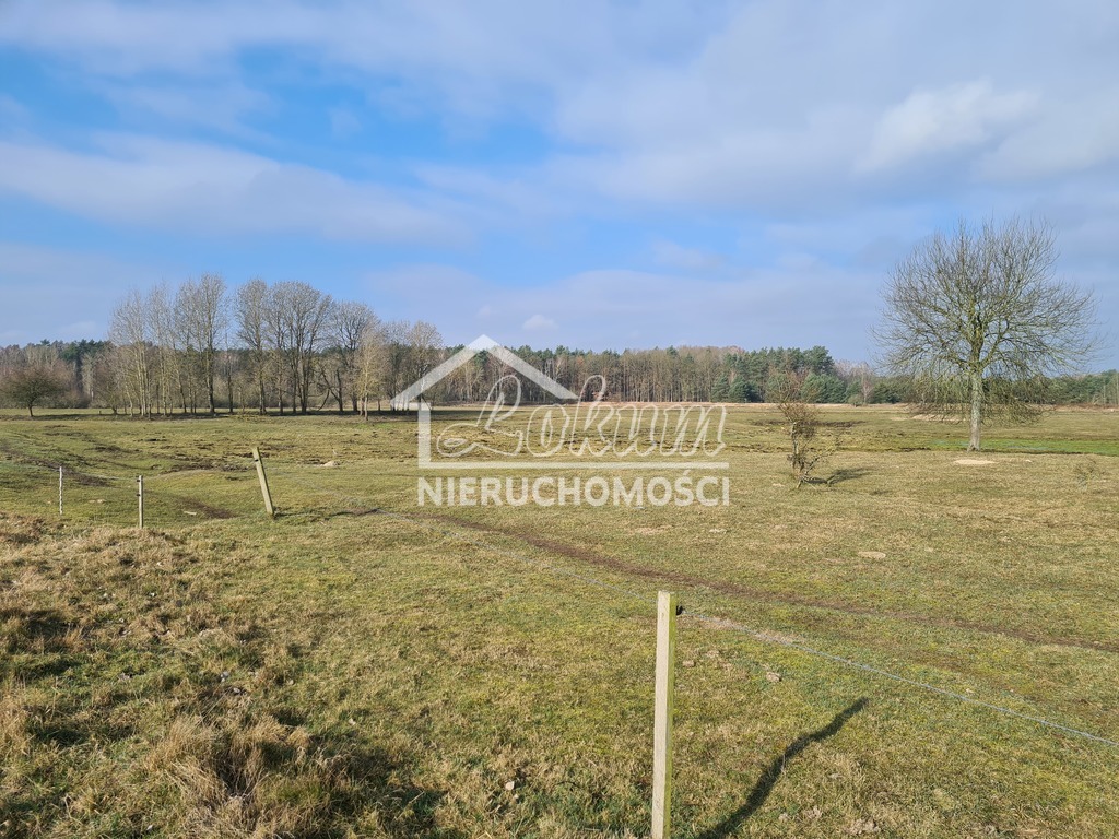 Działka budowlana 1000&nbsp;m², Tanowo - zdjęcie 2