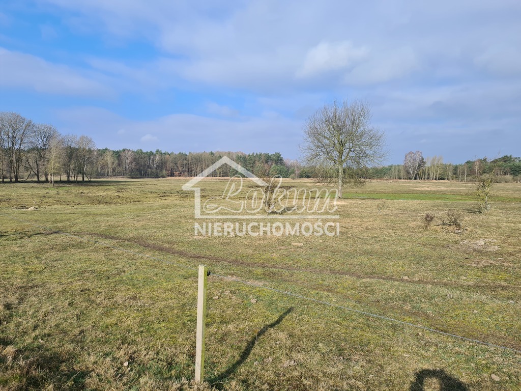 Działka budowlana 1000&nbsp;m², Tanowo - zdjęcie 1