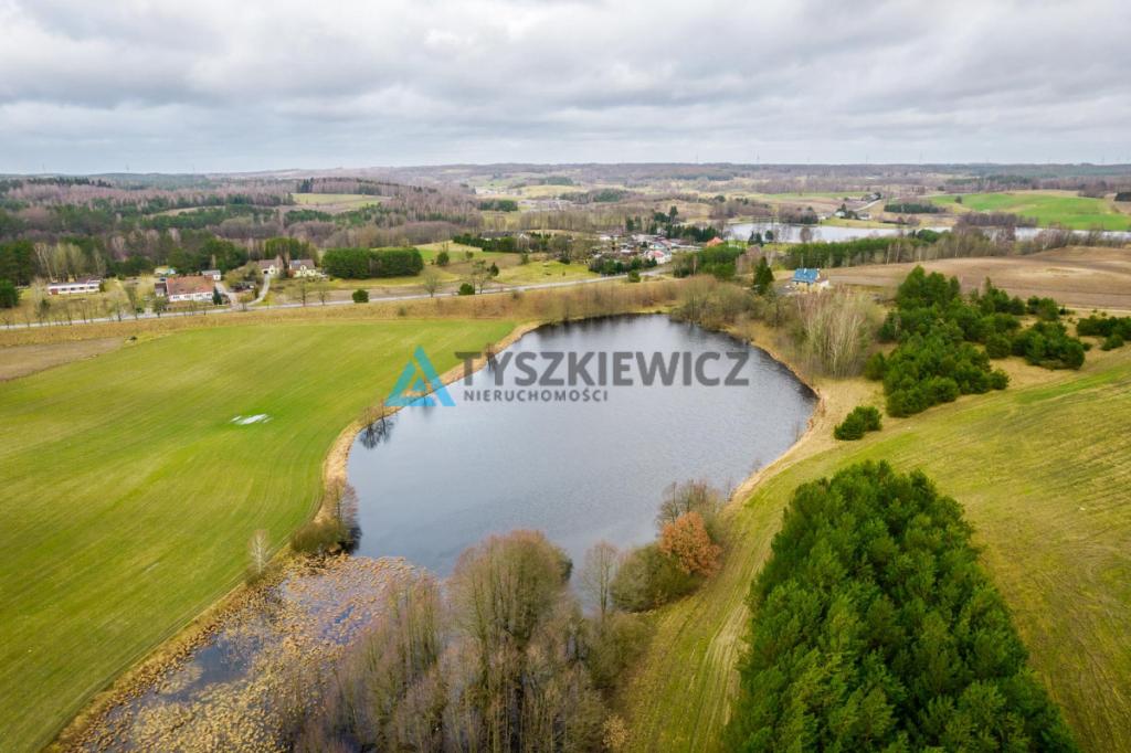 Atrakcyjna oferta ziemi rolnej z własnym lasem - zdjęcie 8
