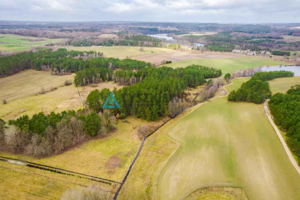 Atrakcyjna oferta ziemi rolnej z własnym lasem - zdjęcie 13