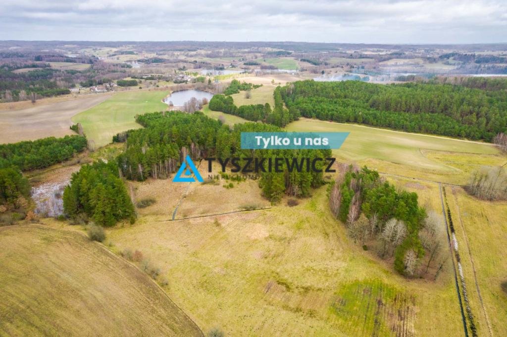 Atrakcyjna oferta ziemi rolnej z własnym lasem - zdjęcie 1