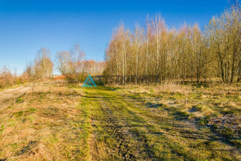 Działka w Uniechowie nad jeziorem- pod dom Seniora - zdjęcie 8