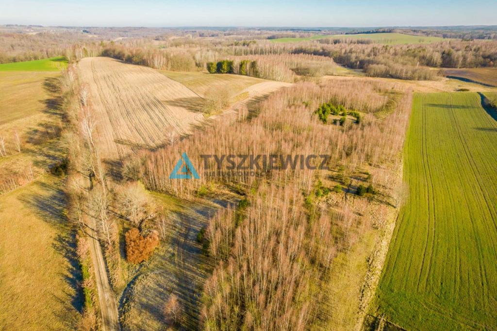 Działka w Uniechowie nad jeziorem- pod dom Seniora - zdjęcie 20