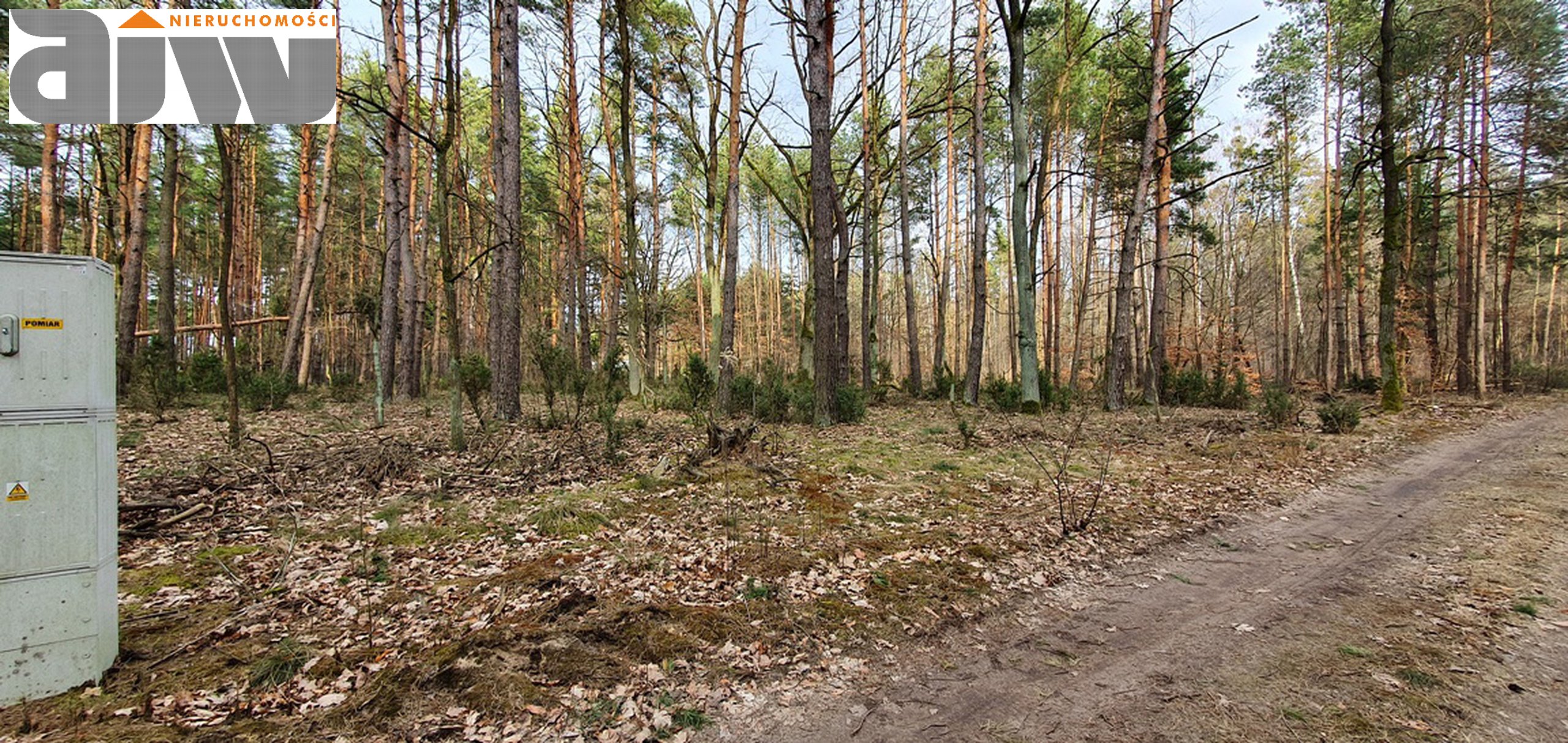 Działka budowlano - leśna Wólka gm. Leszno 3500 m2 - zdjęcie 3