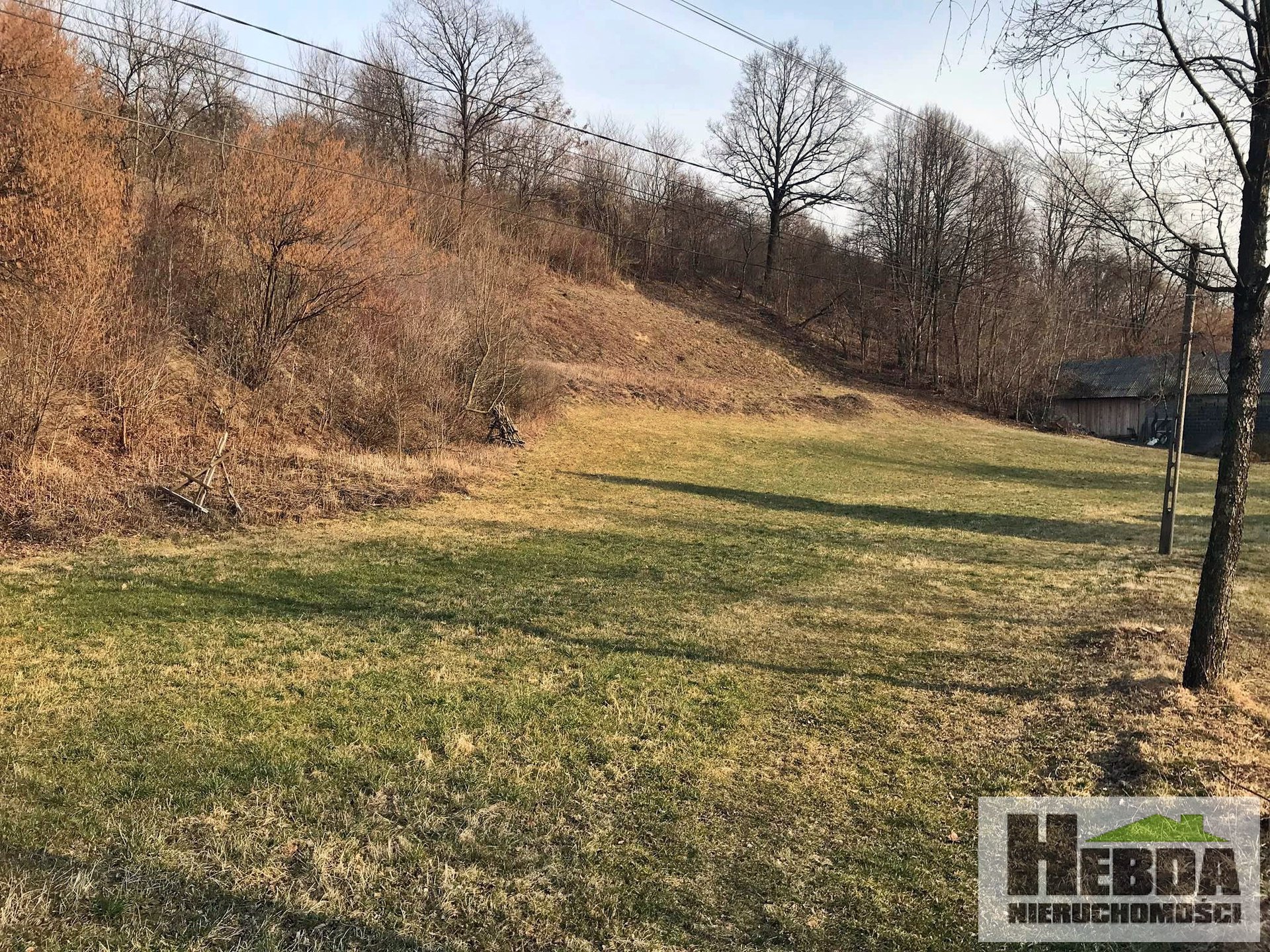 Na sprzedaż działka budowlane, 45 ar, Jodłowa woj. podkarpackie - zdjęcie 3