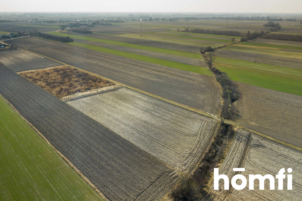 Działka rolna 5586 m², Plewniak - zdjęcie 3