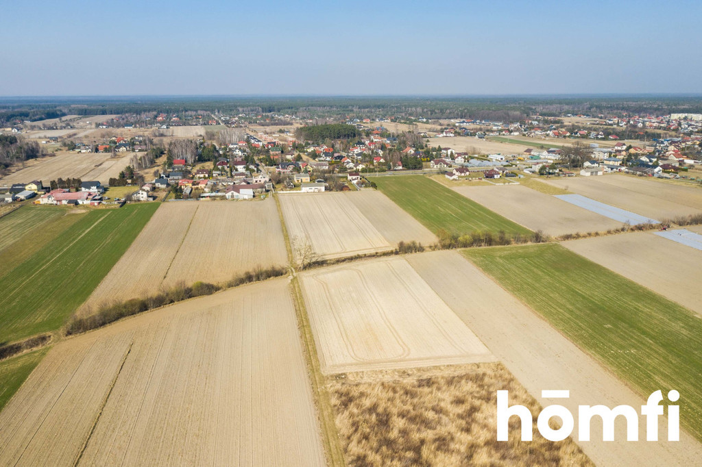 Działka rolna 5586 m², Plewniak - zdjęcie 11