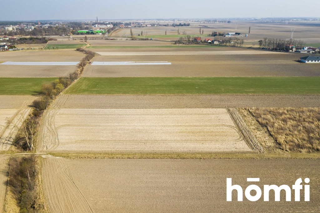 Działka rolna 5586 m², Plewniak - zdjęcie 6