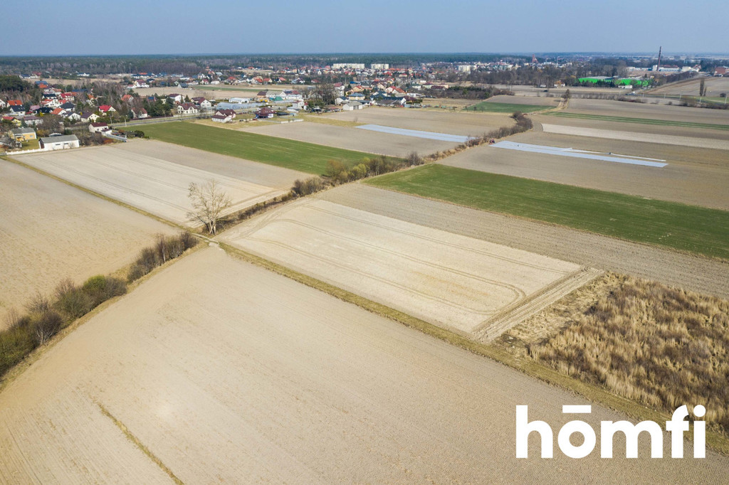 Działka rolna 5586 m², Plewniak - zdjęcie 7