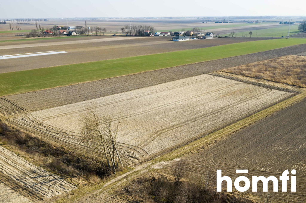 Działka rolna 5586 m², Plewniak - zdjęcie 5