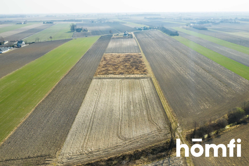 Działka rolna 5586 m², Plewniak - zdjęcie 4