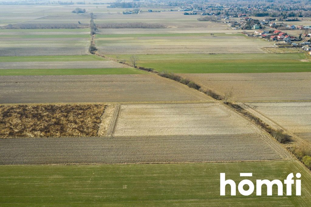 Działka rolna 5586 m², Plewniak - zdjęcie 2
