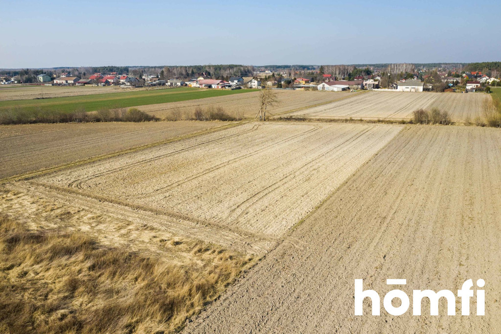 Działka rolna 5586 m², Plewniak - zdjęcie 10
