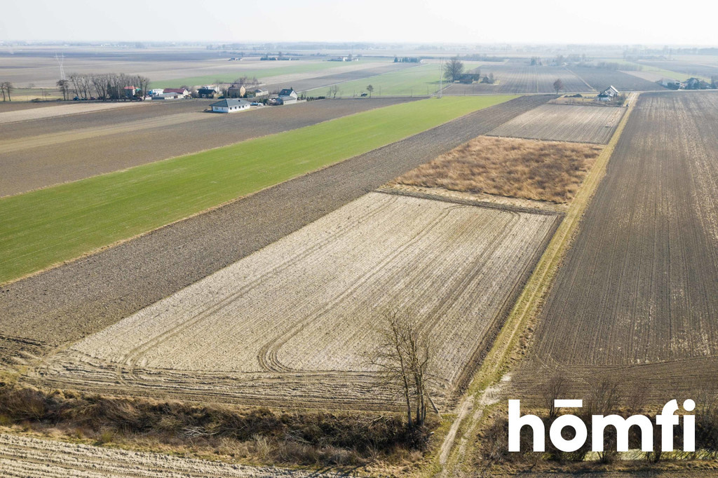 Działka rolna 5586 m², Plewniak - zdjęcie 1