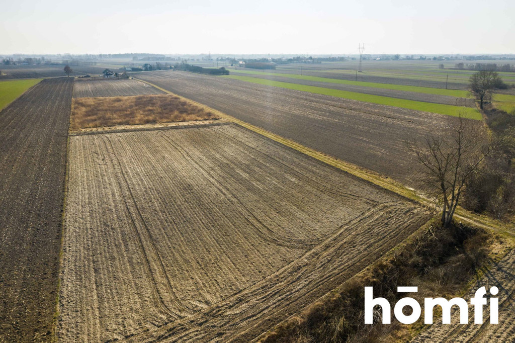 Działka rolna 5586 m², Plewniak - zdjęcie 9