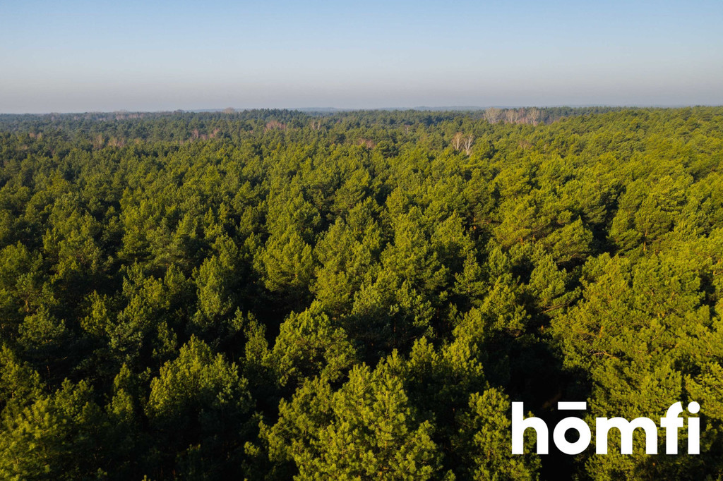 Działka rolna 3766 m², Emów - zdjęcie 8