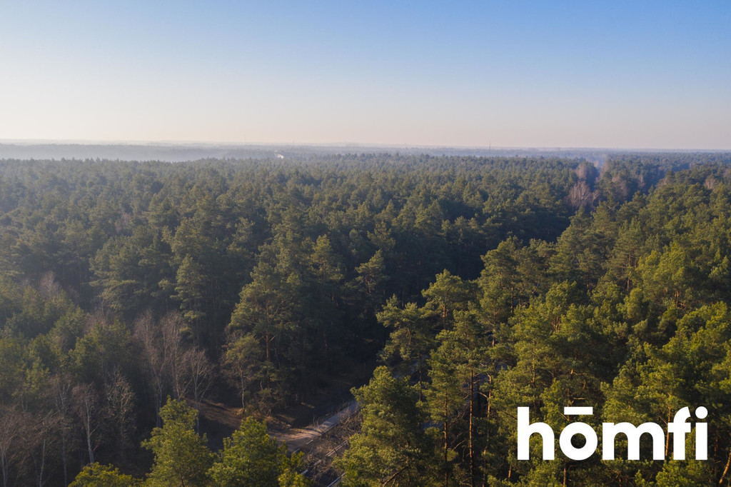 Działka rolna 3766 m², Emów - zdjęcie 2
