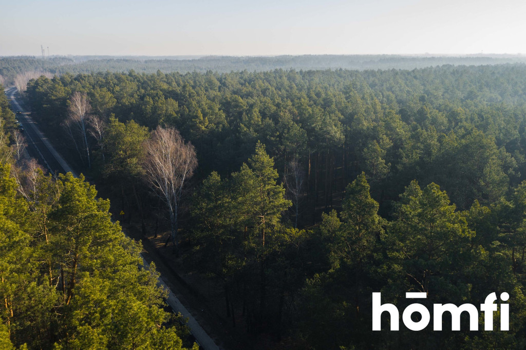 Działka rolna 3766 m², Emów - zdjęcie 6