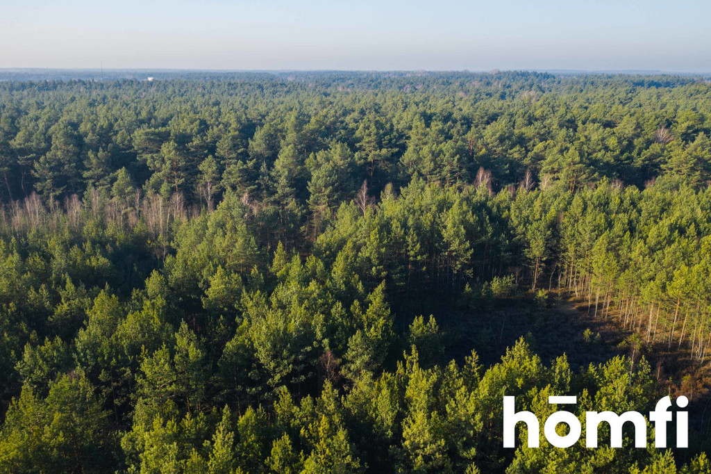 Działka rolna 3766 m², Emów - zdjęcie 5