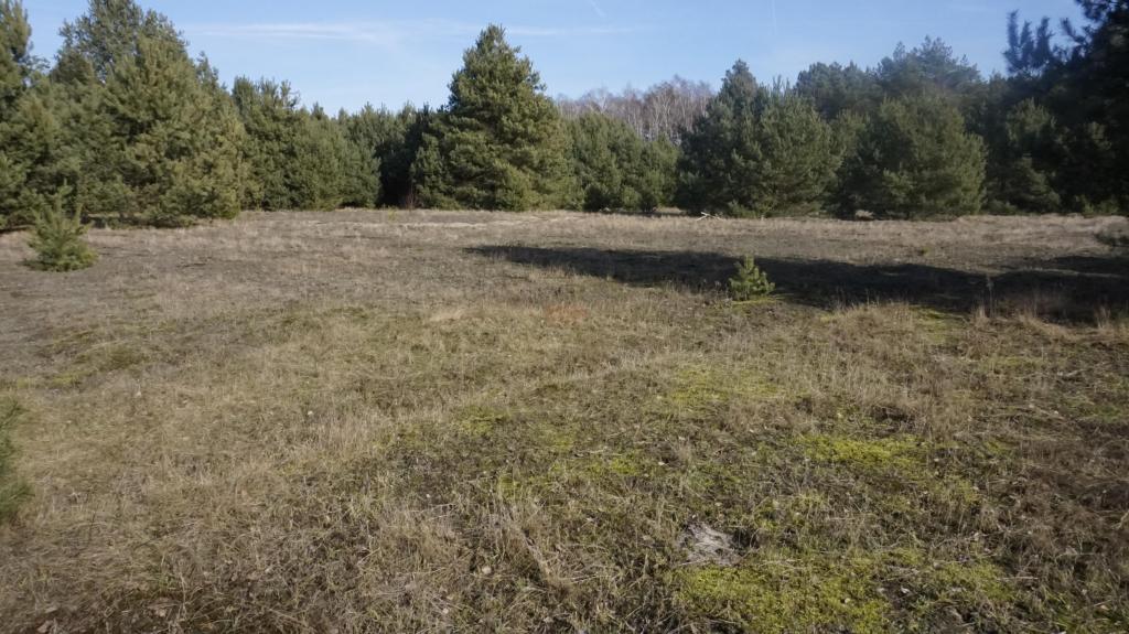 Działka budowlana 1924 m², Janiszów - zdjęcie 5