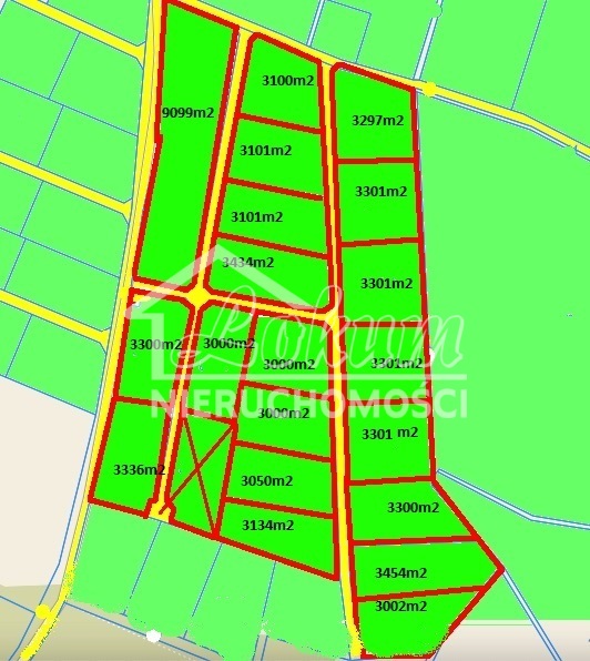 Działka rolna 3000&nbsp;m², Niewiadowo - zdjęcie 1