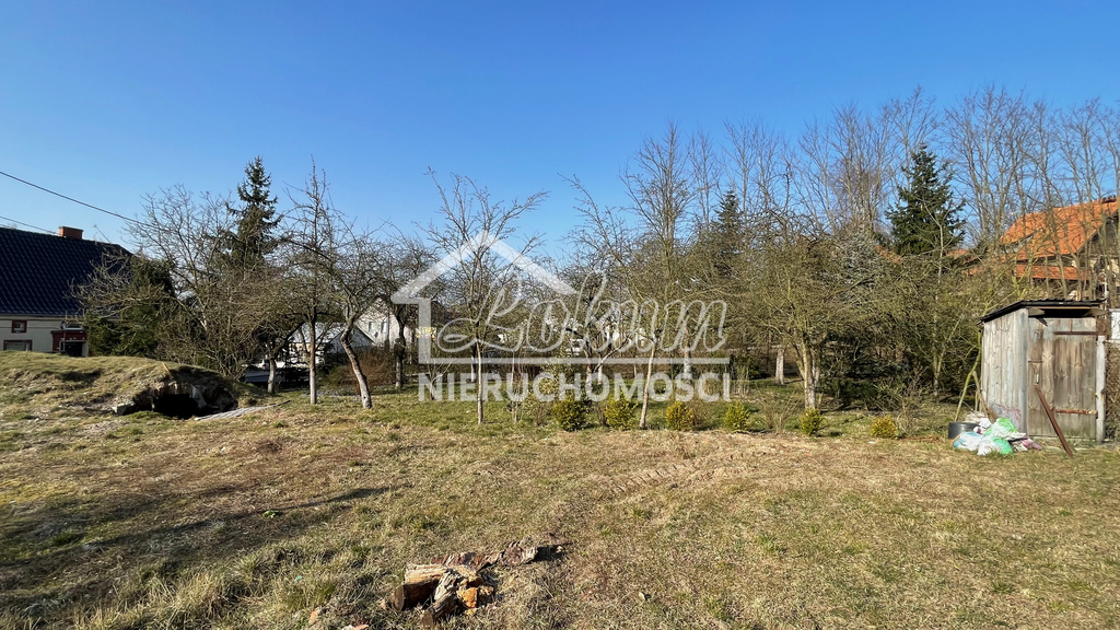 Działka budowlana 2600&nbsp;m², Czepino - zdjęcie 2