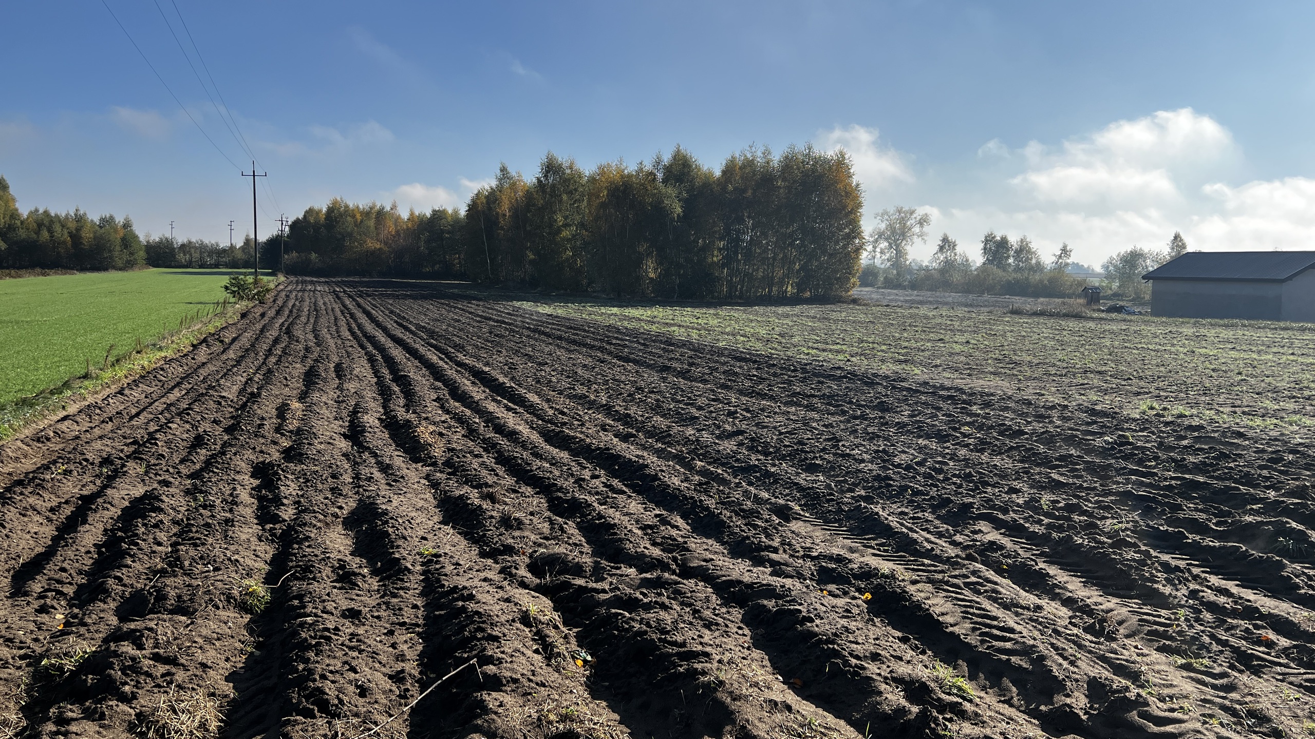 Działka z możliwością zabudowy zagrodowej - zdjęcie 6