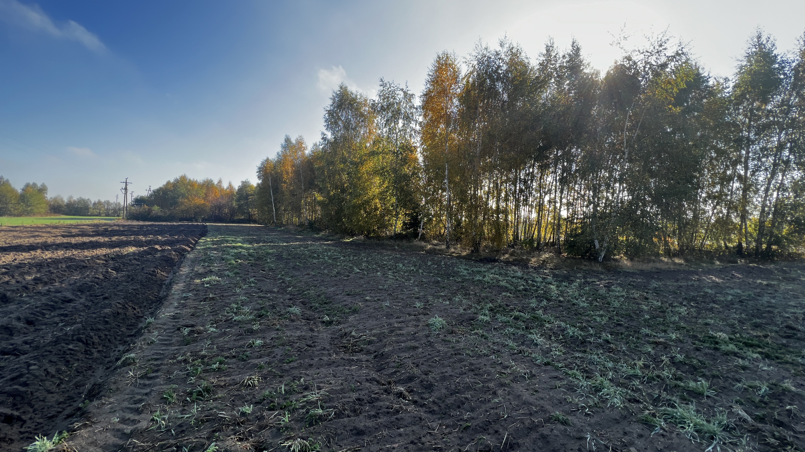 Działka z możliwością zabudowy zagrodowej - zdjęcie 8