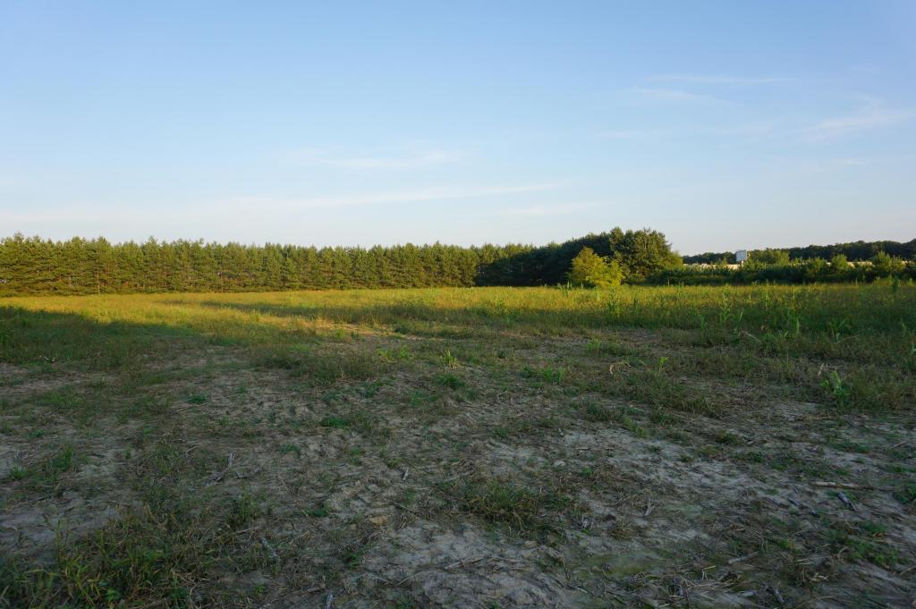 Działka inwestycyjna 1,50 ha, Ramiszów - zdjęcie 2