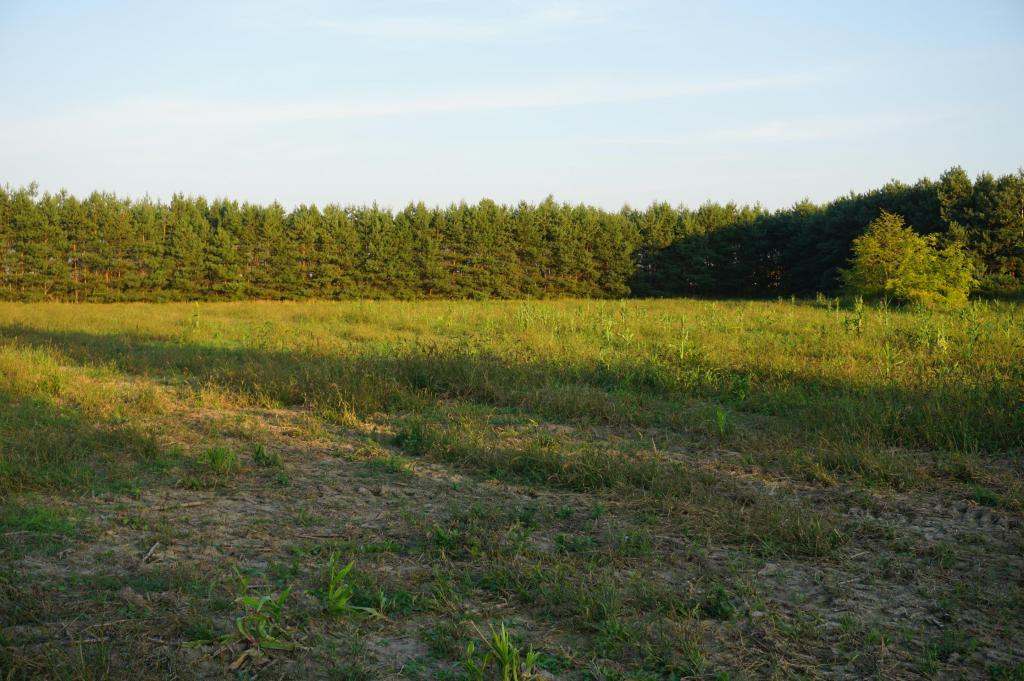 Działka inwestycyjna 1,50 ha, Ramiszów - zdjęcie 1