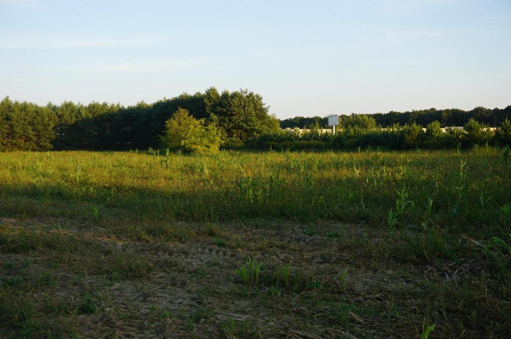 Działka inwestycyjna 1,50 ha, Ramiszów - zdjęcie 4