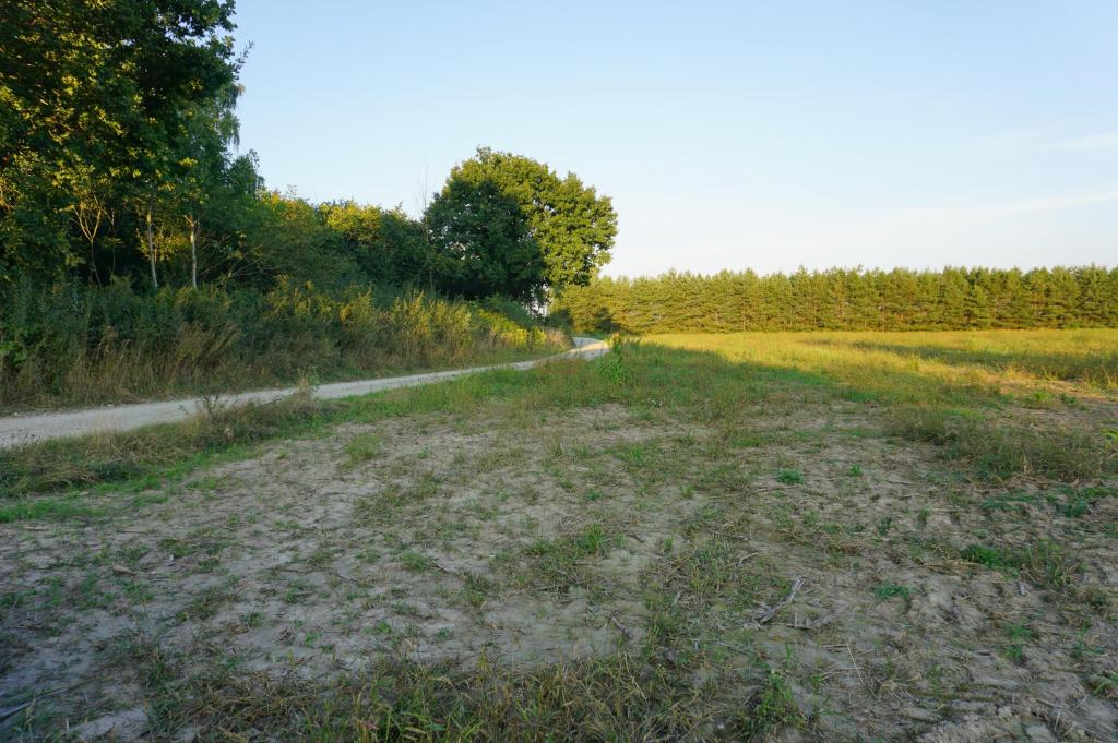 Działka inwestycyjna 1,50 ha, Ramiszów - zdjęcie 3